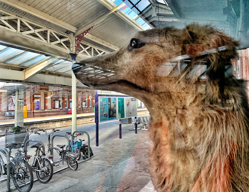 StationJim 4420 
 Slough Station 2020, iPhonography project while service disruption for Covid 19 
 Keywords: Slough, Railway, Station, Streetphotography, photography, abstract, selfie, trains, bridge, Berkshire