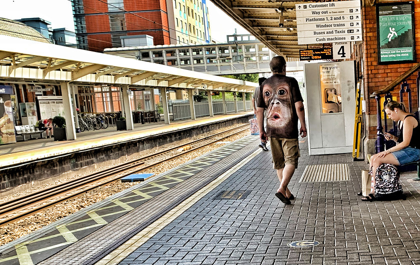 Monkey 4838 
 Slough Station 2020, iPhonography project while service disruption for Covid 19 
 Keywords: Slough, Railway, Station, Streetphotography, photography, abstract, selfie, trains, bridge, Berkshire